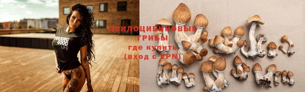 a pvp Абинск