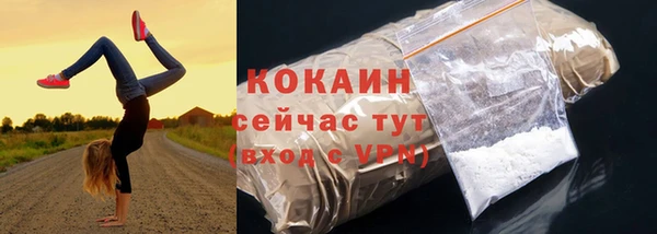 шишки Лиски