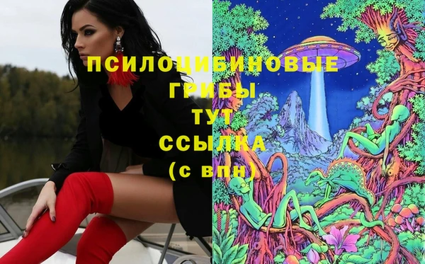 шишки Лиски