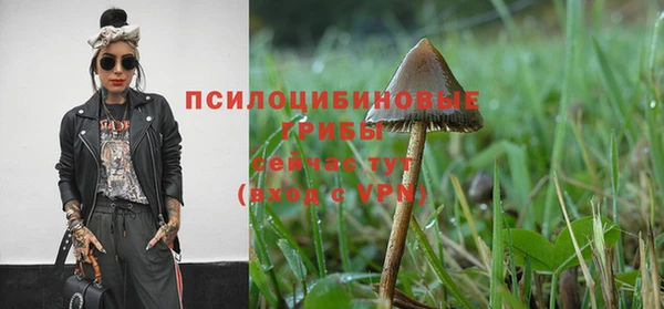МДПВ Абаза