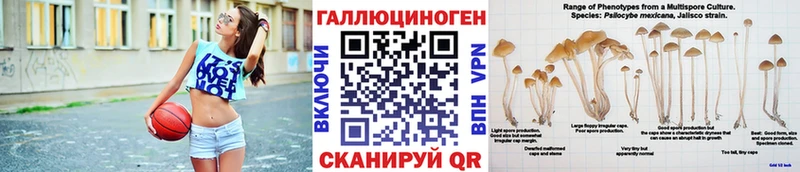 Галлюциногенные грибы Magic Shrooms  цена   Краснодар 